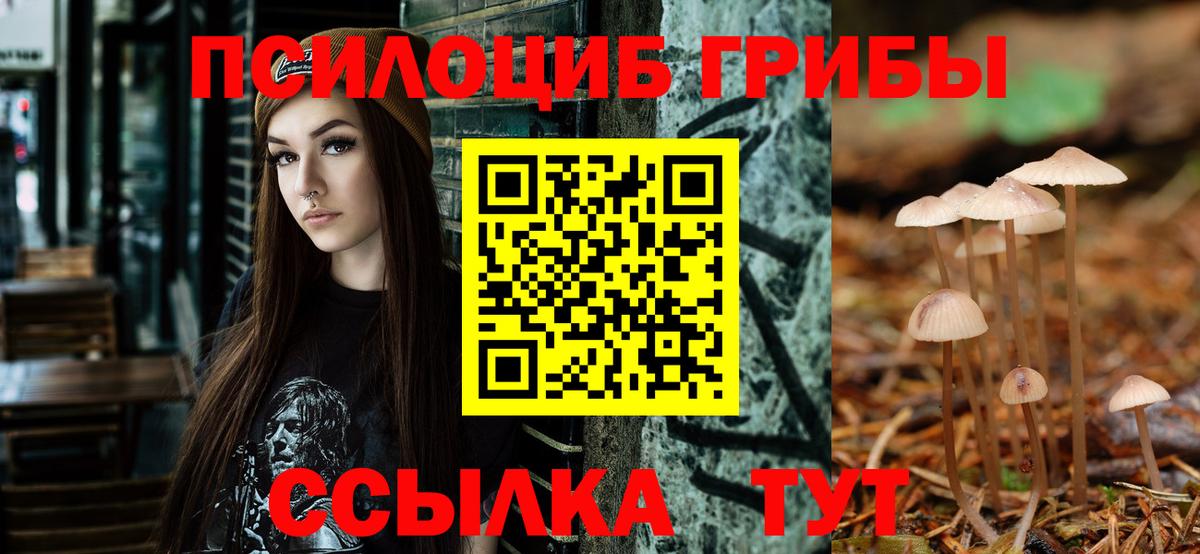 Пугачёв  Галлюциногенные грибы MAGIC MUSHROOMS  Вход с VPN  Псилоцибиновые грибы MAGIC MUSHROOMS 