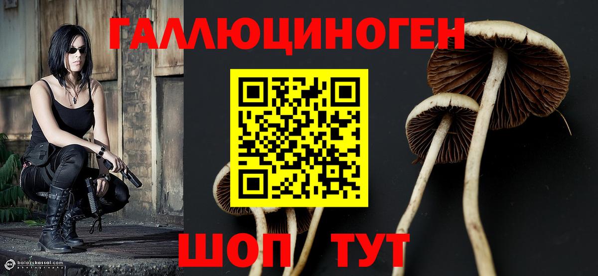 Галлюциногенные грибы мухоморы Пугачёв